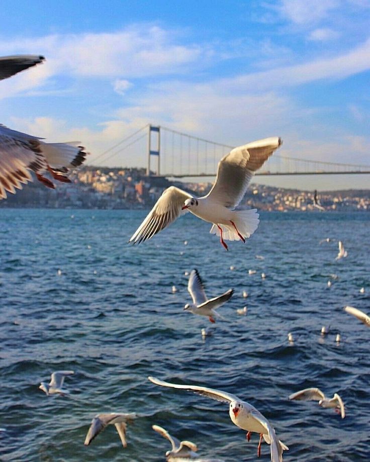 Azerbaijan Highlights – Baku & Gabala Discovery