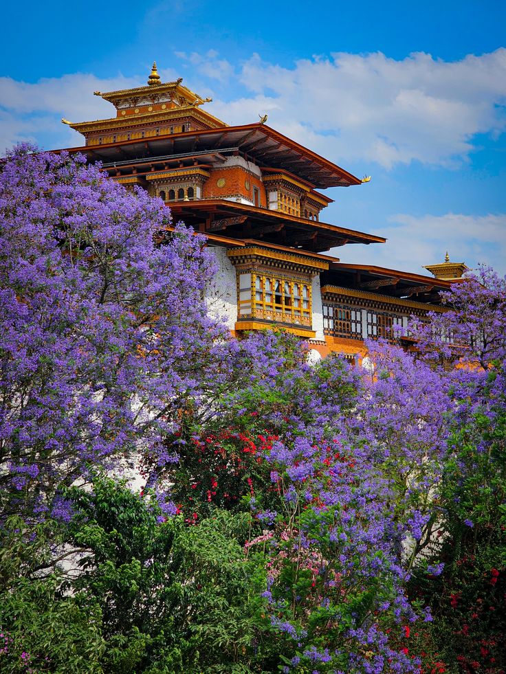 Bhutan Himalayan Kingdom Discovery – Thimphu, Punakha & Paro