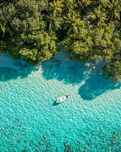 Andaman Group Escape – Port Blair & Havelock Island