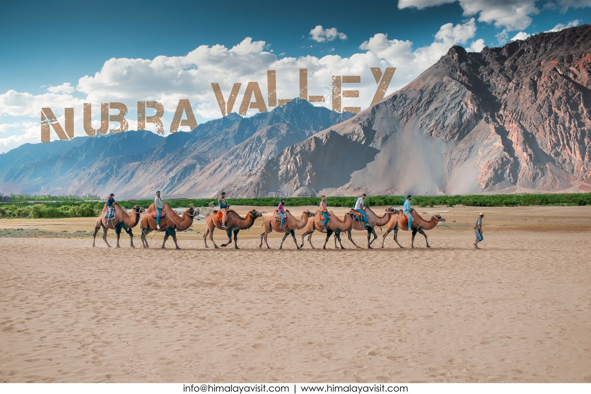 Ladakh Ultimate Adventure – Leh, Nubra, Turtuk & Pangong