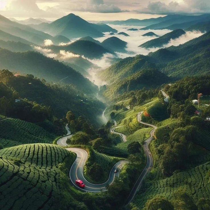 Kerala Scenic Escape – Munnar, Thekkady & Alleppey Houseboat