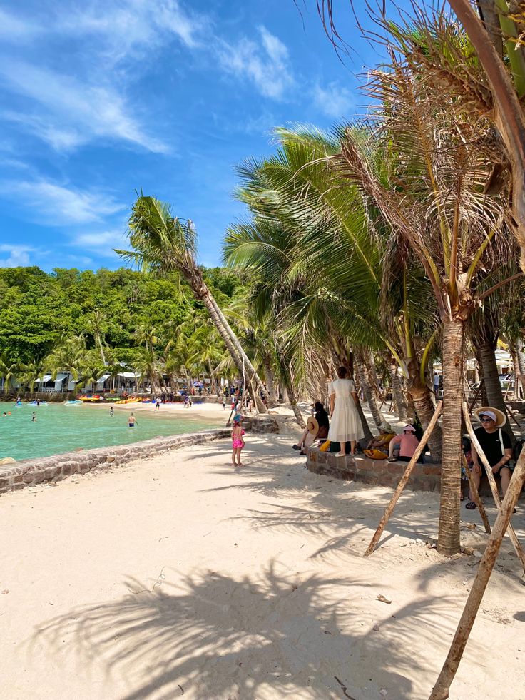 Phu Quoc Island Adventure – Safari, Islands & Cable Car Experience