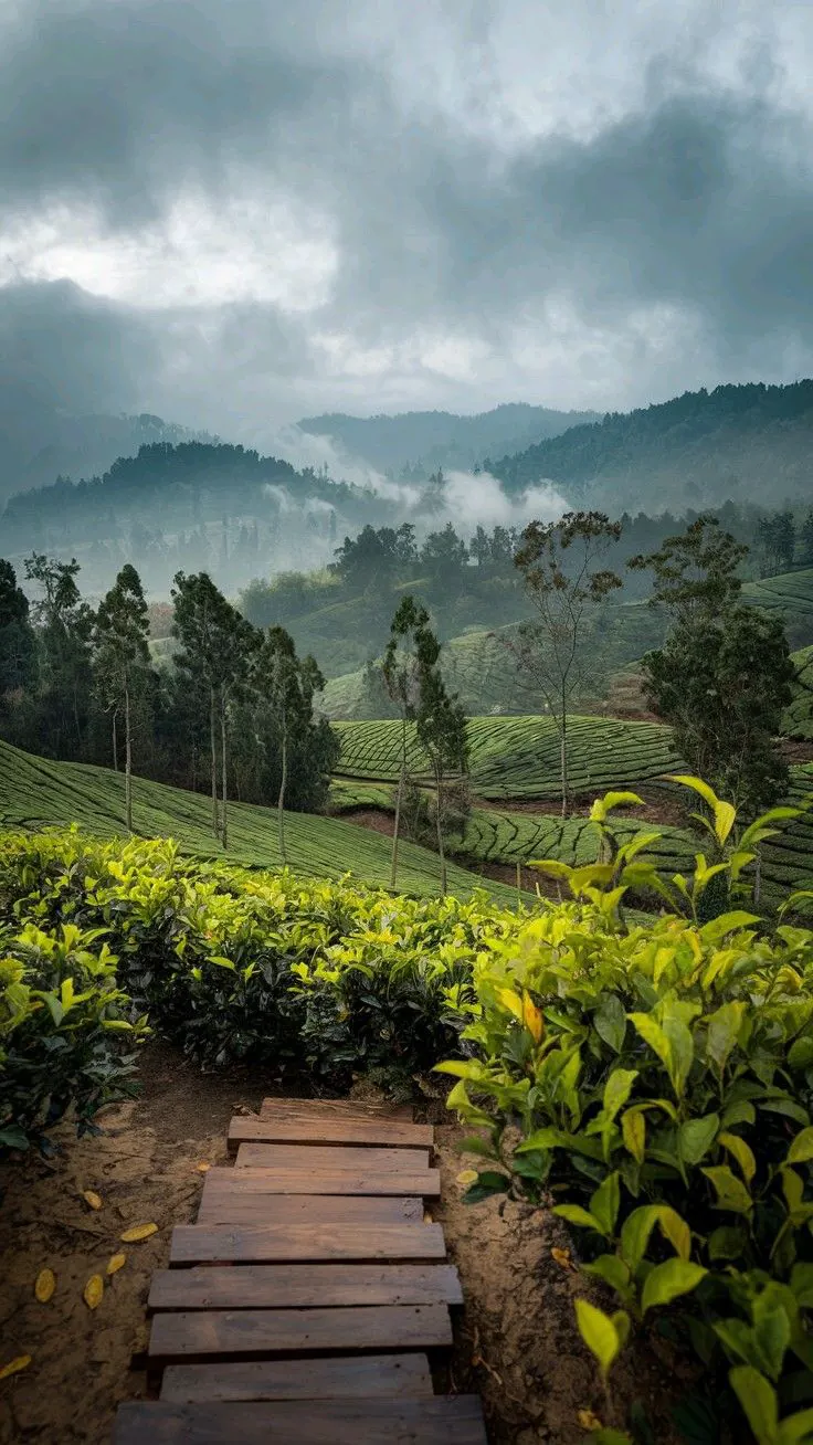Assam Meghalaya Nature & Heritage Explorer