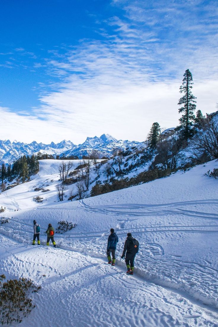 Himachal Delight – Shimla & Manali Escape
