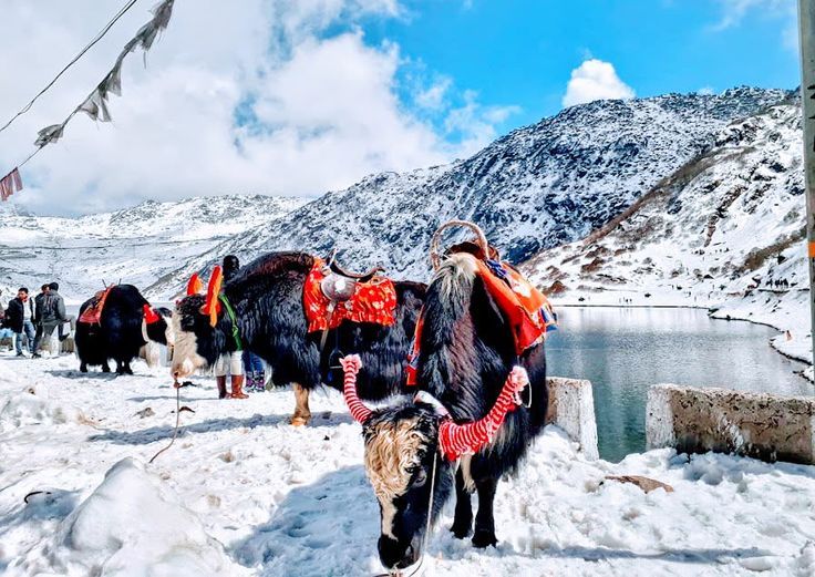 Sikkim Himalayan Escape – Gangtok, Tsomgo Lake & Darjeeling