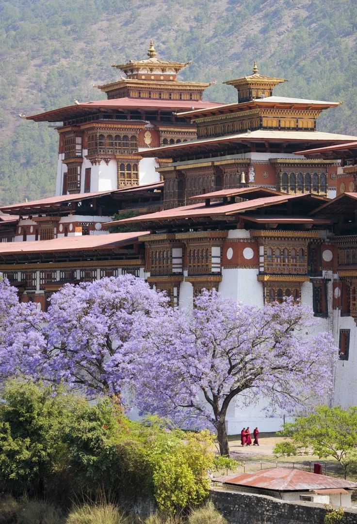 Bhutan Himalayan Kingdom Discovery – Thimphu, Punakha & Paro