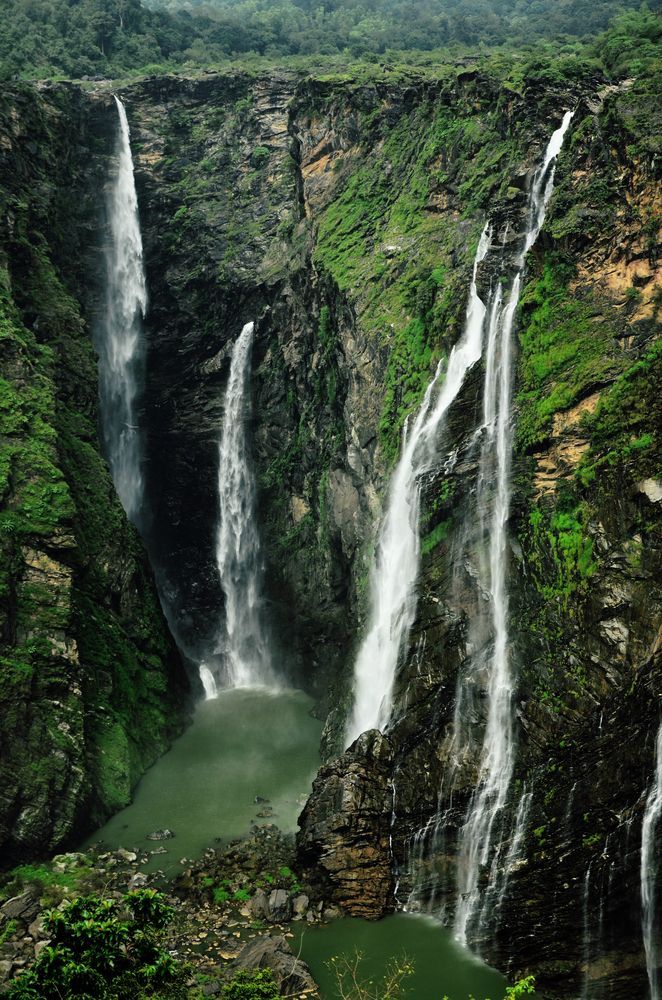 Agumbe & Jog Falls Monsoon Adventure